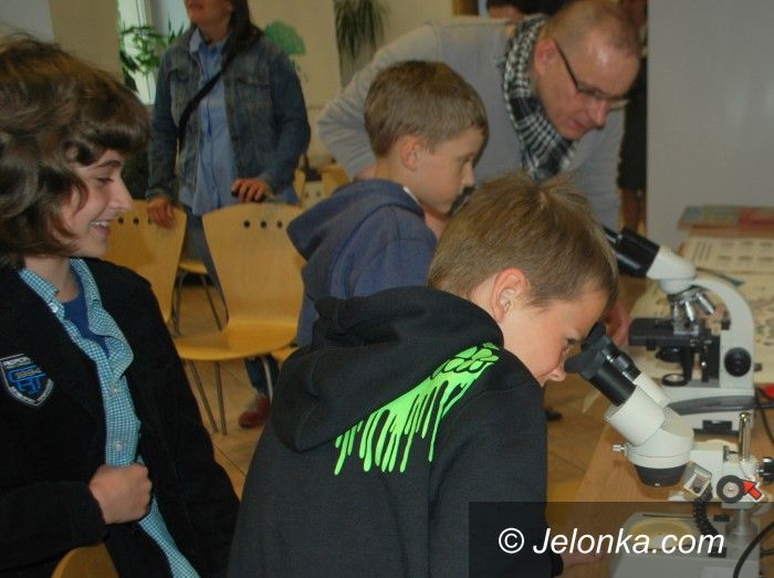 Jelenia Góra: Udana akcja „Nie tylko muchomor i wściekły lis!”