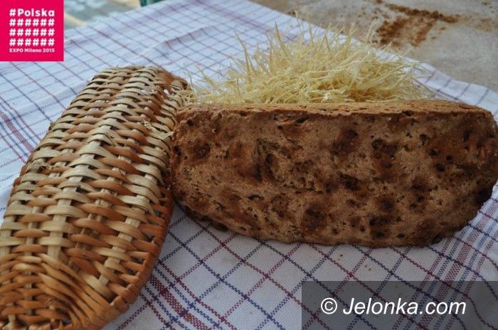 Region: Żywioły Dolnego Śląska w Mediolanie