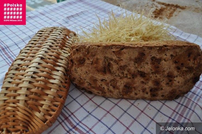 Region: Żywioły Dolnego Śląska w Mediolanie