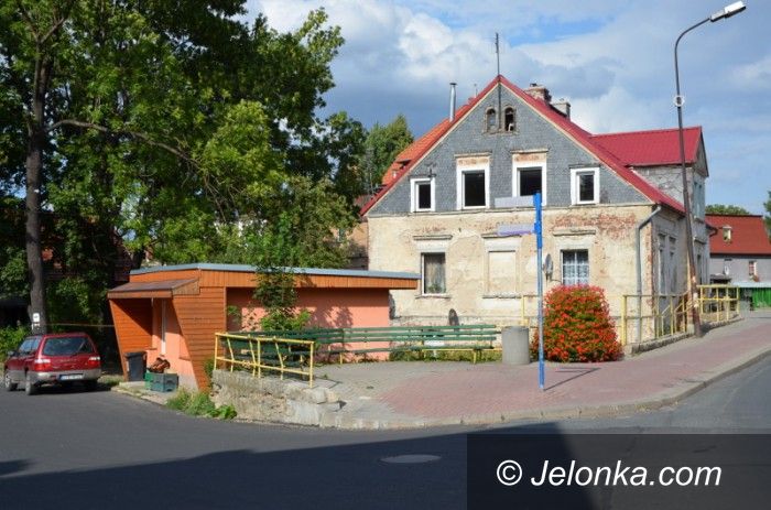 Jelenia Góra: Uciążliwy problem mieszkańców Sobieszowa