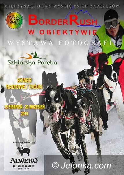 Szklarska Poręba: Wyścig Psich Zaprzęgów w obiektywie Anny Kawali–Konik
