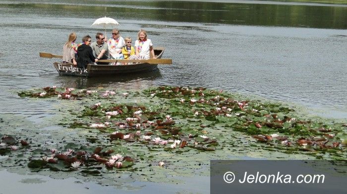 Region: Fryderyka i Fryderyk w Bukowcu