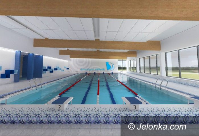 Region: Warto powalczyć o dolnośląskiego delfinka
