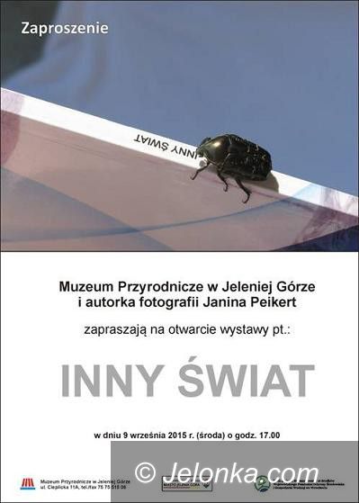 Jelenia Góra: “Inny świat” Janiny Peikert w Muzeum Przyrodniczym