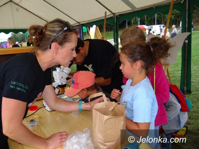 Jelenia Góra: Wspaniały piknik pod Chojnikiem!