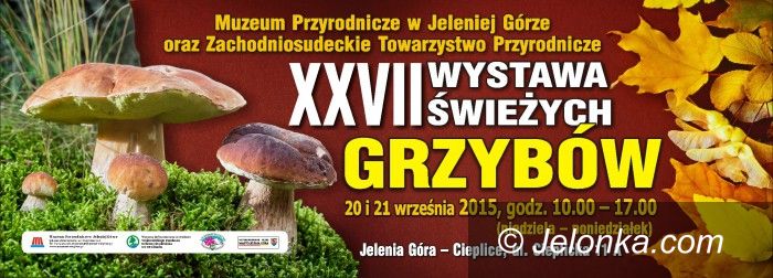 Jelenia Góra: XXVII Wystawa Świeżych Grzybów w Cieplicach