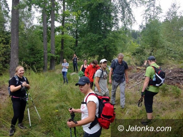 Region: Przejdą i przebiegną 137 kilometrów