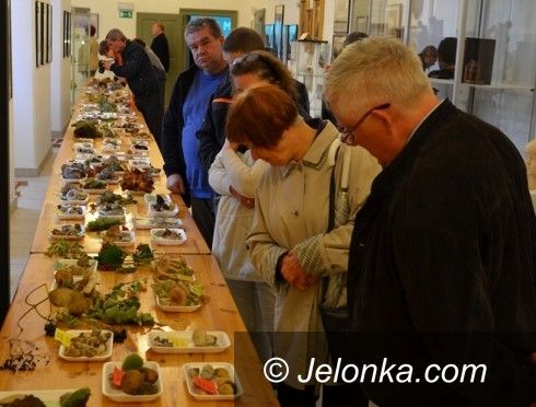 Jelenia Góra: 160 gatunków grzybów w Muzeum Przyrodniczym