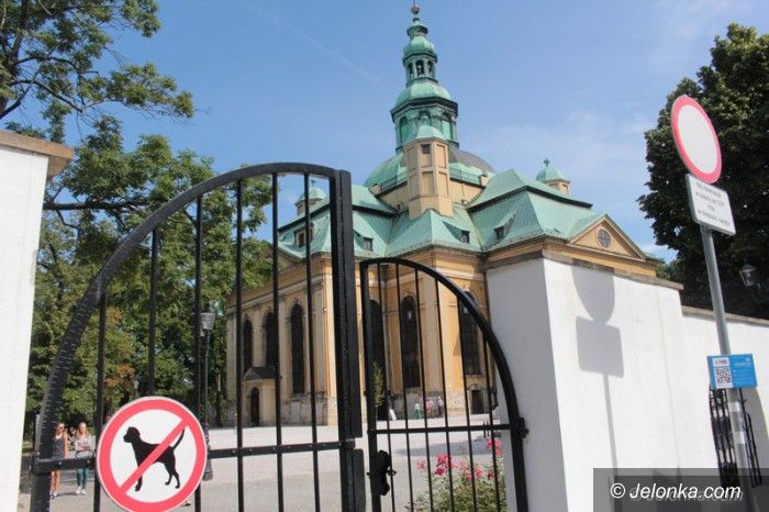 Jelenia Góra: Psy w parkach? WSA oddala z przyczyn formalnych