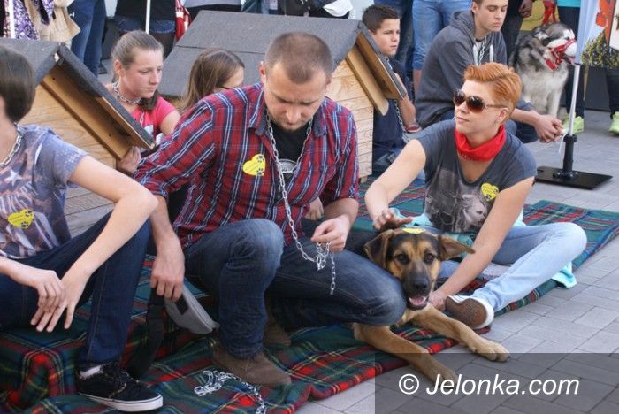 Jelenia Góra: Walczyli o prawa zwierząt – zrywali łańcuchy