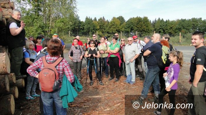 Region: Ekscytująca wyprawa do szkółki kontenerowej