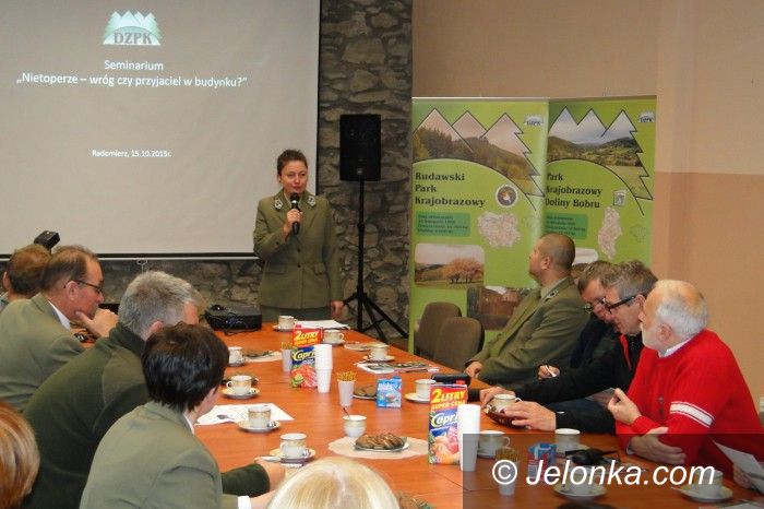 Region: Nietoperze – wróg czy przyjaciel