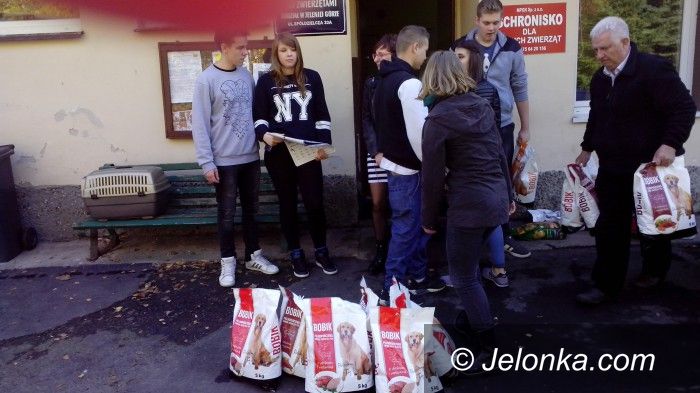 Jelenia Góra: Paczka dla zwierzaczka od młodzieży