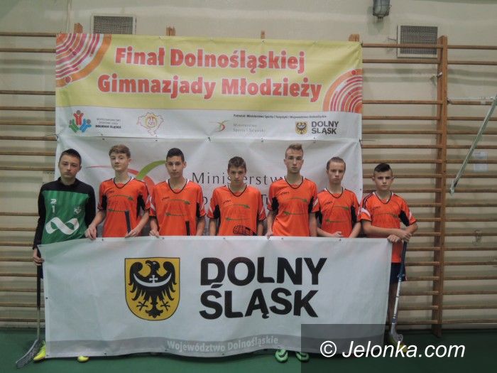 Dolny Śląsk: Drużyna z Łomnicy trzecia na Dolnym Śląsku