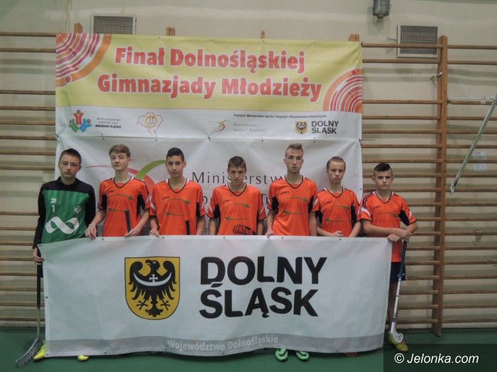 Dolny Śląsk: Drużyna z Łomnicy trzecia na Dolnym Śląsku