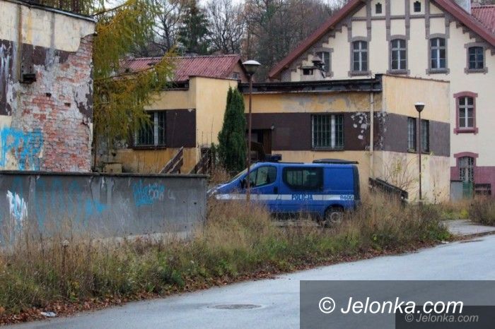 Jelenia Góra: Bezdomni z „Sudetów” dewastują działki?