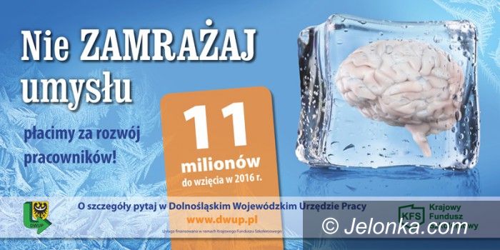 Region: Ten fundusz „odmraża” umysły Dolnoślązaków