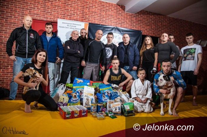 Jelenia Góra: Sportowcy na rzecz krzywdzonych zwierząt