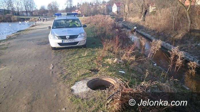 Jelenia Góra: Straż Miejska: To były spokojne święta