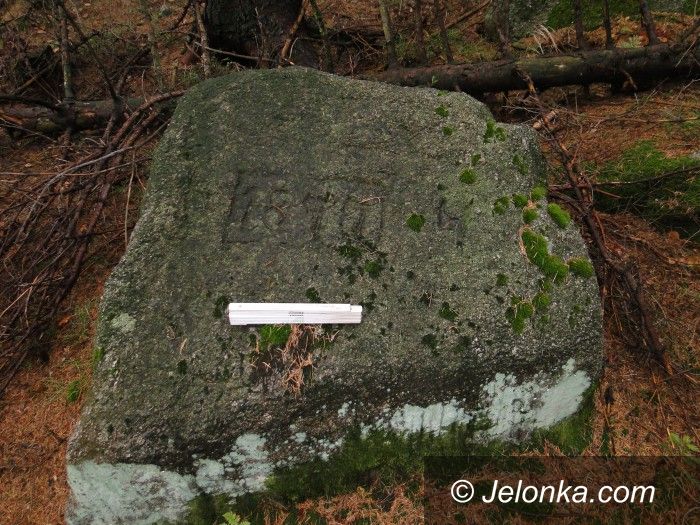 Region: Ciekawy głaz w Karkonoszach