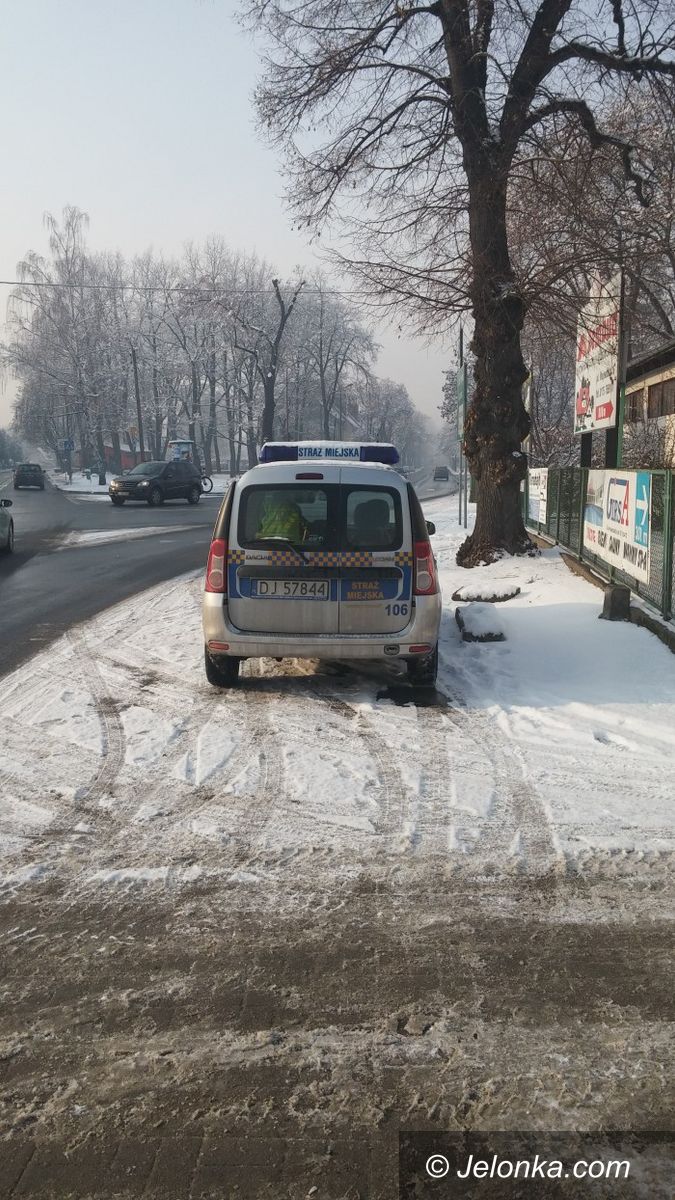 Jelenia Góra: Czytelnik: tak zaparkowali miejscy strażnicy