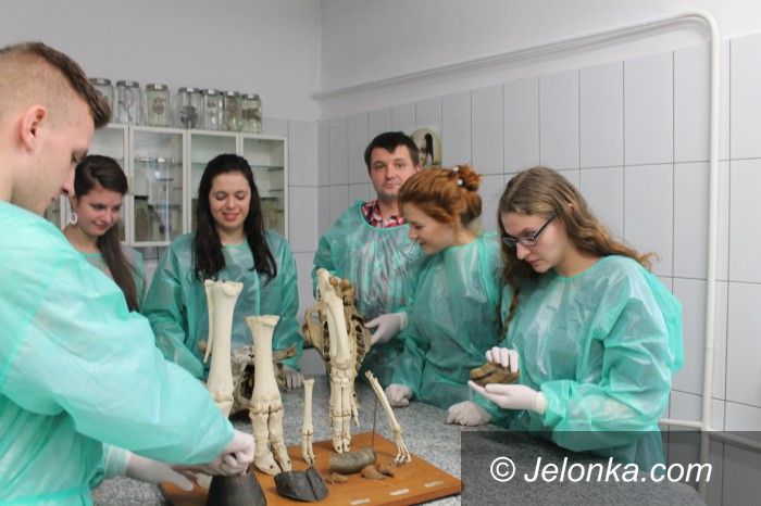 Jelenia Góra: Technikum weterynaryjne – szkołą mistrzów