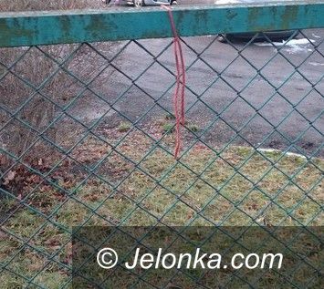 Jelenia Góra: Strażnik miejski uratował samobójcę