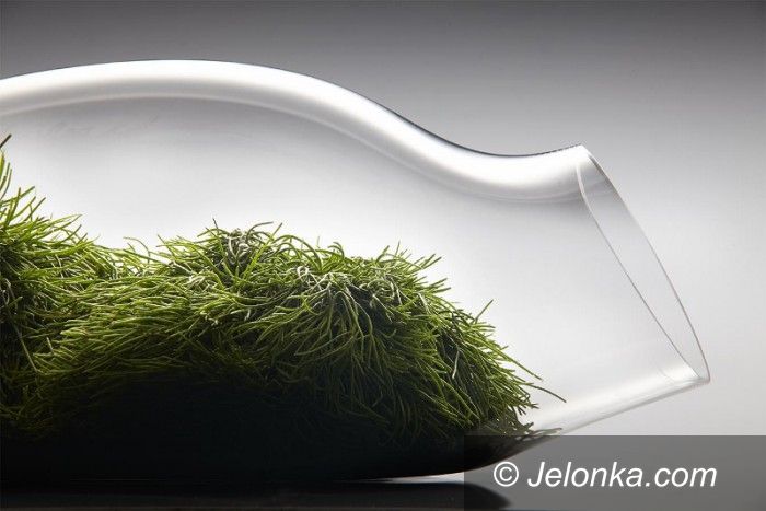 Jelenia Góra: „Botanicum” A. Kujawskiej w Muzeum Przyrodniczym