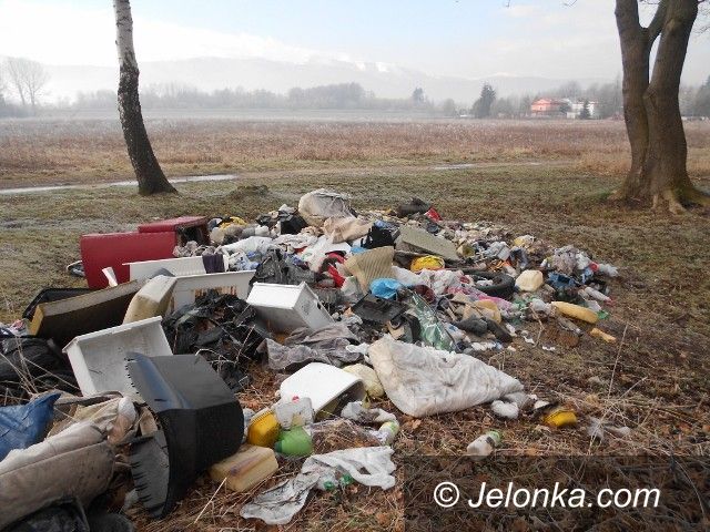 Jelenia Góra: Dzikie wysypisko szpeci Park Norweski