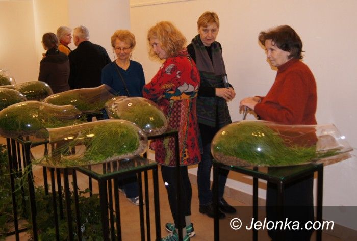 Jelenia Góra: „BOTANICUM” zagościło w Muzeum Przyrodniczym