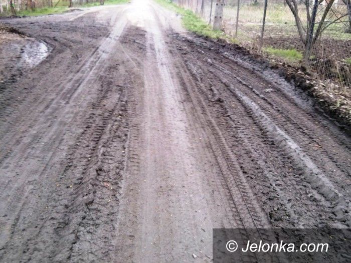 Piechowice: Czytelnik: Kto posprząta w końcu to błoto?