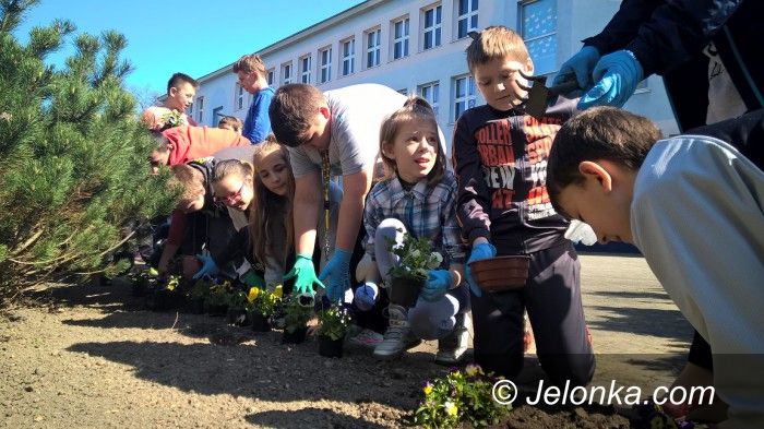 Jelenia Góra: Dzień  Ziemi  w  „Trzynastce”