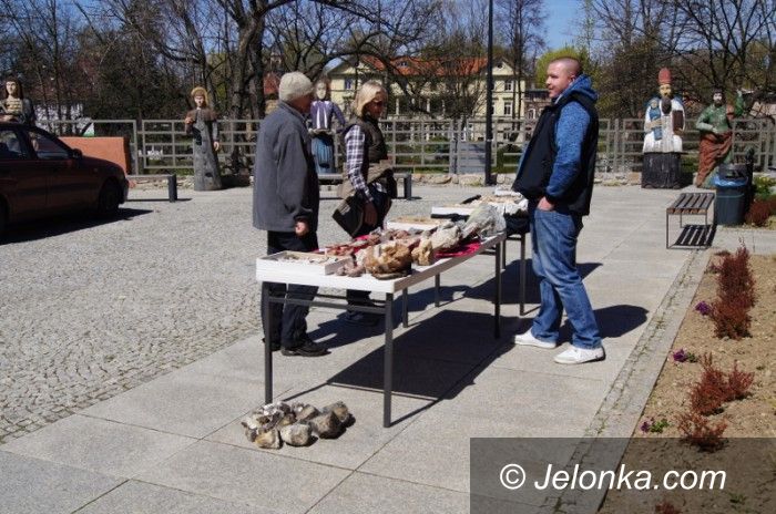 Jelenia Góra: W Muzeum Przyrodniczym obchodzono Dzień Ziemi