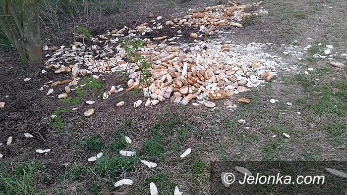 Region: Ktoś wyrzucił chleb do lasu zamiast oddać biednym