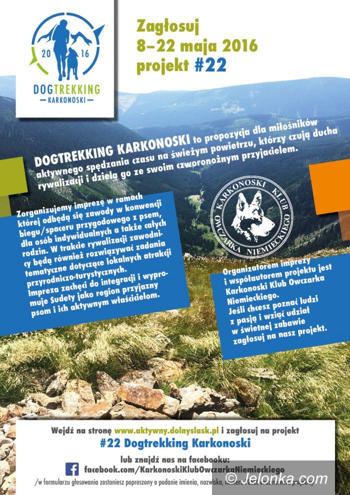 Region: Zagłosuj na Dogtreking Karkonoski