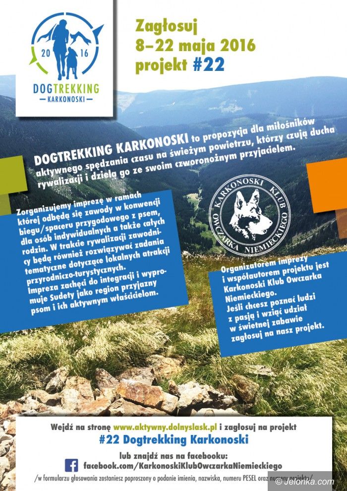 Region: Zagłosuj na Dogtreking Karkonoski