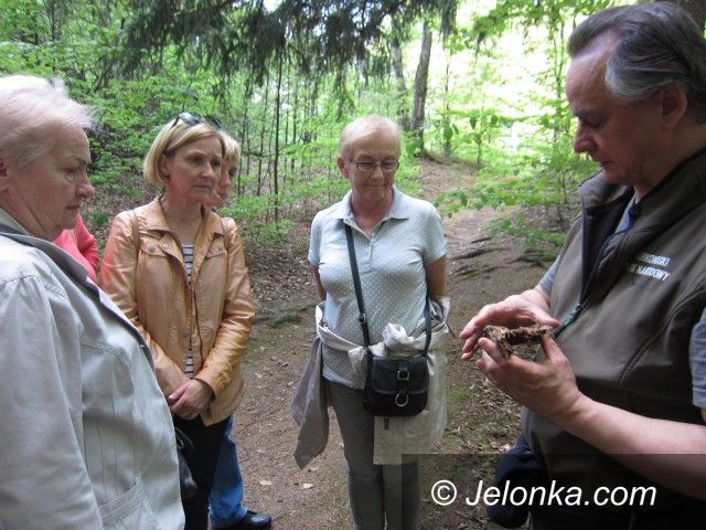 Jelenia Góra: Zapisz się na wycieczkę z Klubem Seniora „Młodzi Duchem”