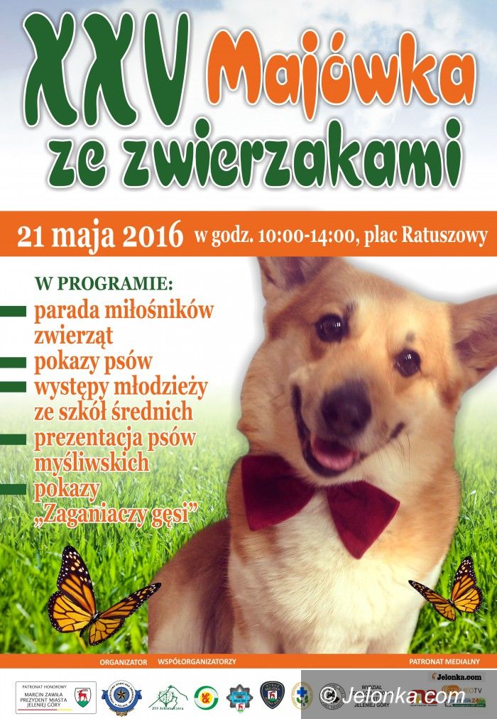 Jelenia Góra: W sobotę Majówka ze zwierzakami