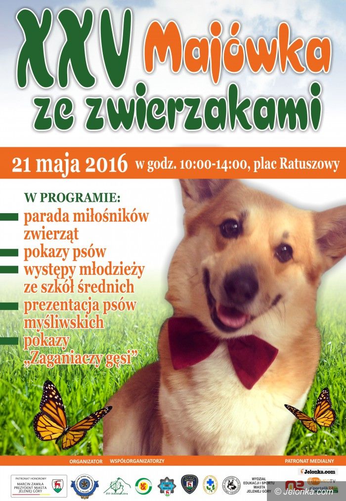 Jelenia Góra: W sobotę Majówka ze zwierzakami