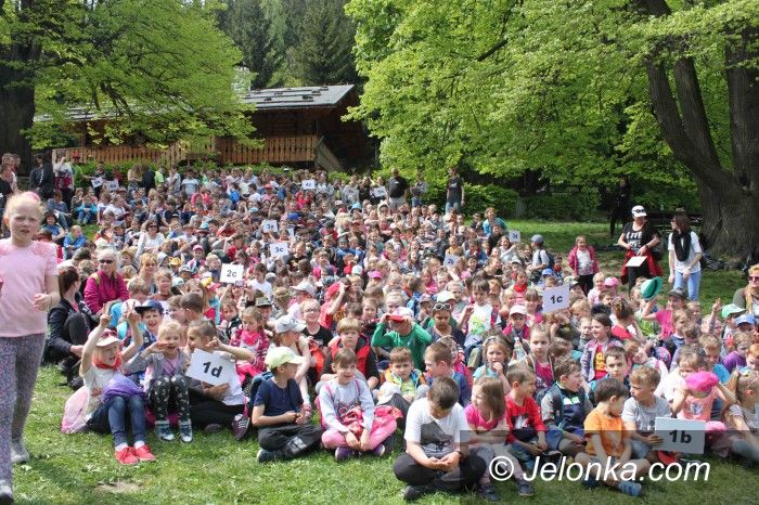 Jelenia Góra: Królewski podbój Szwajcarki i kwiaty