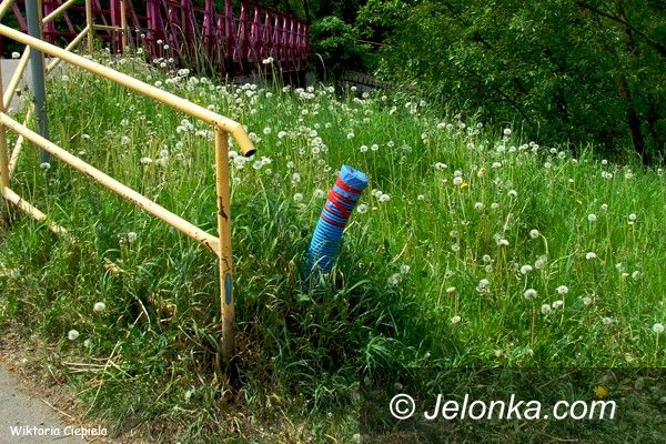 Jelenia Góra: Złodzieje okradli… drogę rowerową