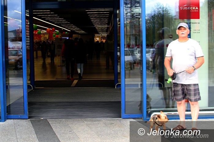 Jelenia Góra: Psy w Galerii Sudeckiej mile czy niemile widziane?