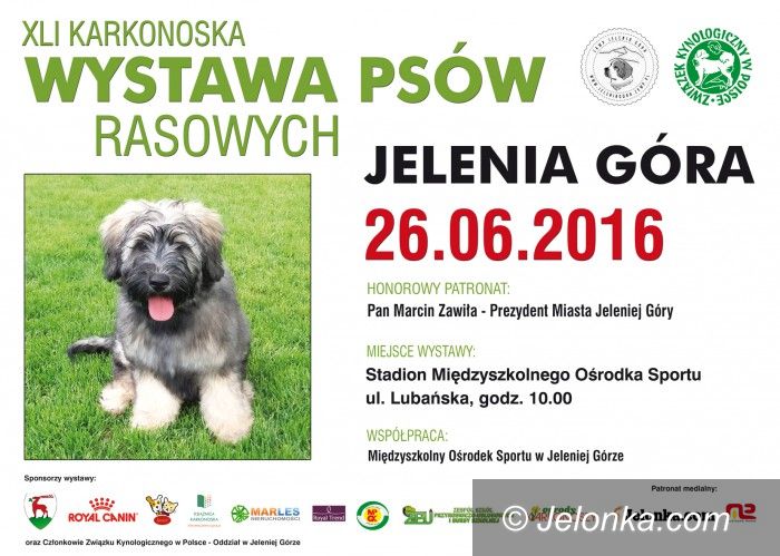 Jelenia Góra: Karkonoska wystawa psów rasowych już w niedzielę