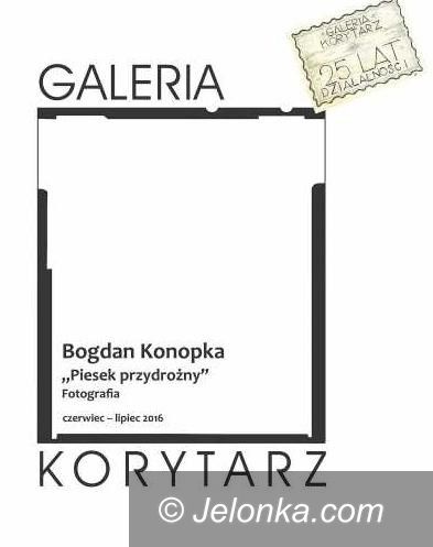 Jelenia Góra: “Piesek przydrożny” w Galerii Korytarz