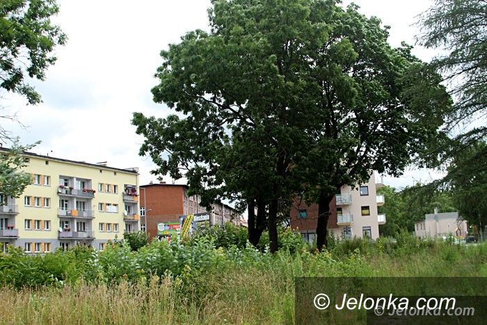 Jelenia Góra: Centrum znów porosły chaszcze