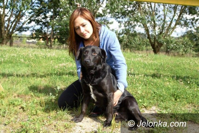 Jelenia Góra: Przygarnij psiaka z Jelonką.com