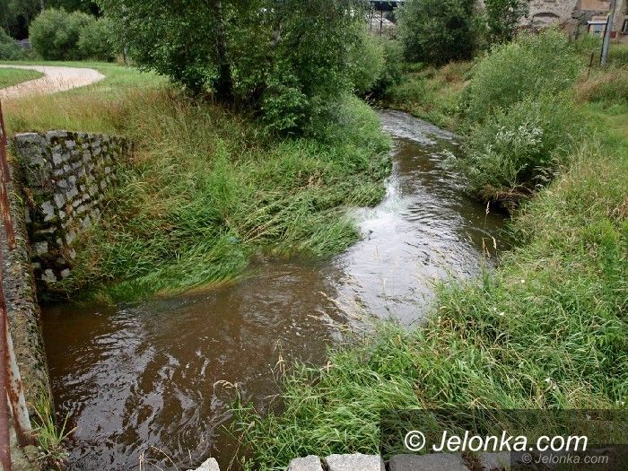 Region: Woda w rzekach opada (aktualizacja)