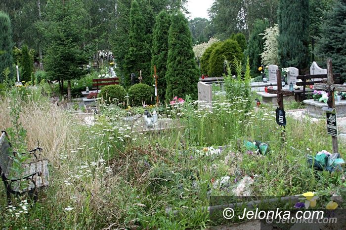 Jelenia Góra: Zarośnięte mogiły wołają o pomstę do nieba