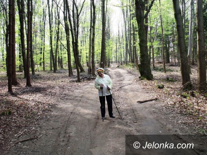 Region: W niezwykłą podróż z Jelonką.com