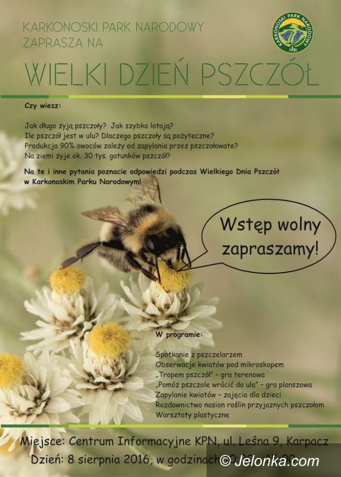 Karpacz: Wielki dzień pszczół – jutro